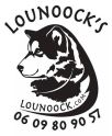 lounoock's chiens de traineau